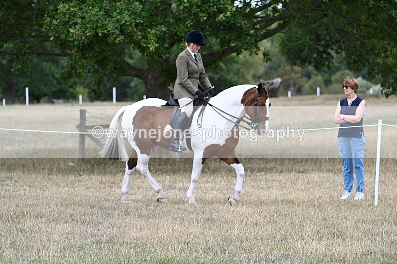 WJ7_4832 - Class 12 Ridden Cob