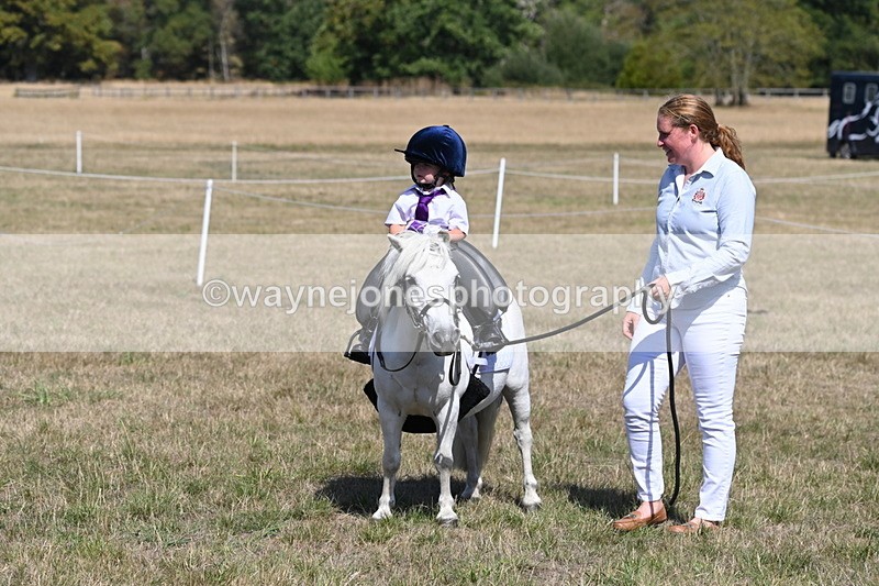 WJ6_9406 - Class 40 Cheekiest Pony/Horse