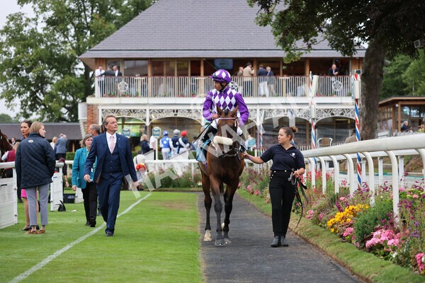 yr22072022r4-49 - Race 4 6.50pm The IRE Incentive It Pays To Buy Irish EBF Restricted Novice Stakes