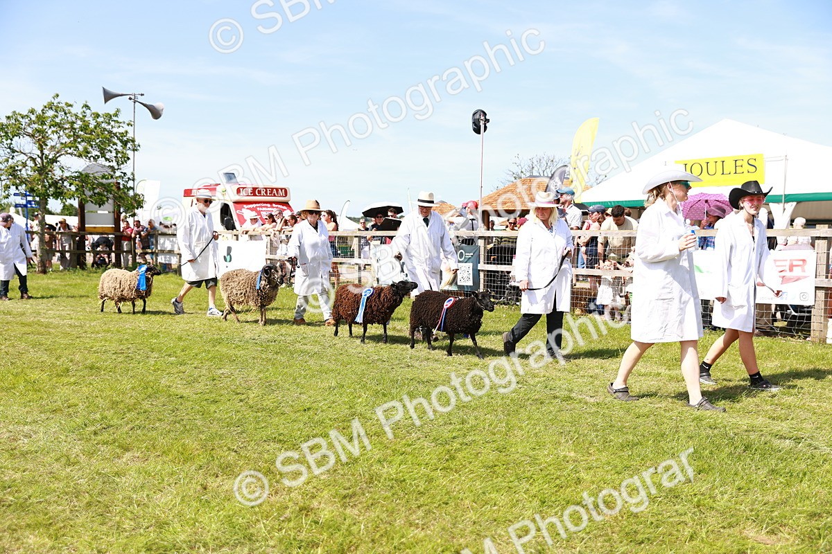 SBM_08303 - Grand Parade