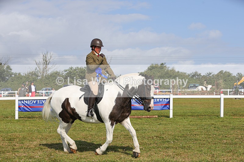 1X9A3428 - Class 28: Ridden Native/Trad Coloured Pony