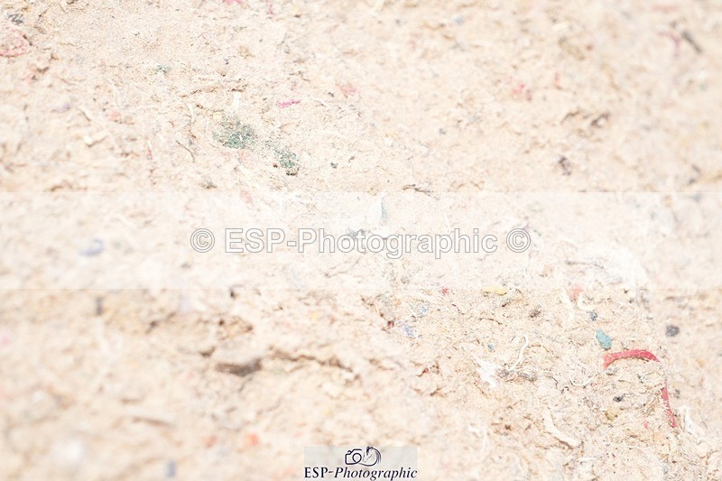 250815-134943-01331 - 1.30pm Presentations