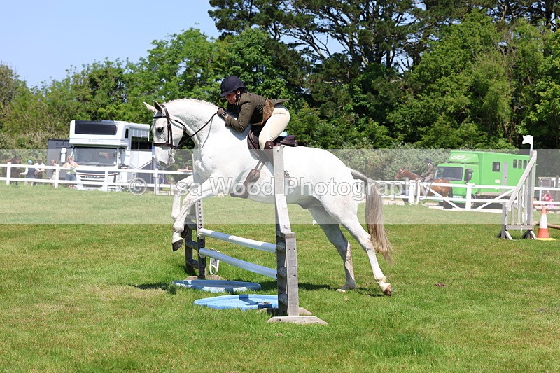 3E7A7487 - Class 31: Working Hunter Cob/Riding Horse