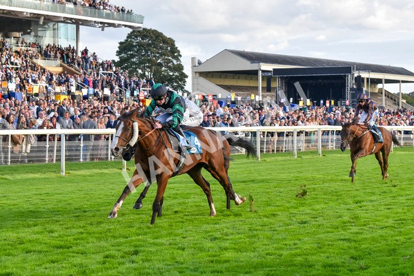 230923-Race 6-September Power-7024 - Race 6 4.55pm New To York Rio Brazilian Handicap