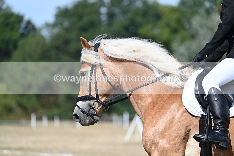 WJ7_0251 - Time 11:33 to 11:44