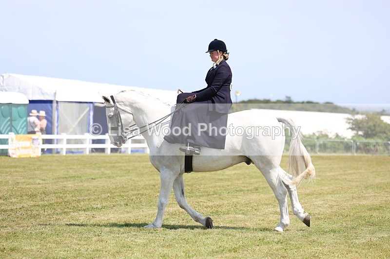 3E7A9761 - Class 13: Side Saddle