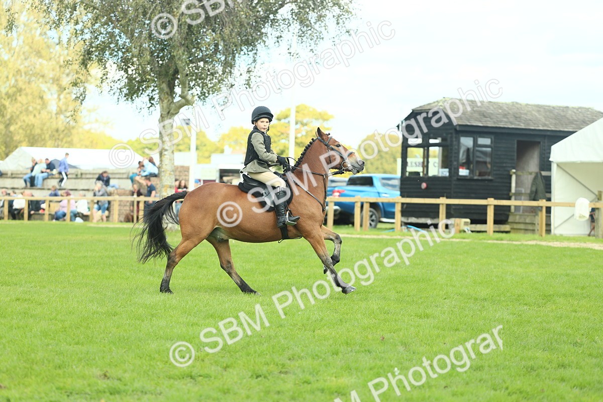 SBM_44607 - S31 - Working Hunter Pony