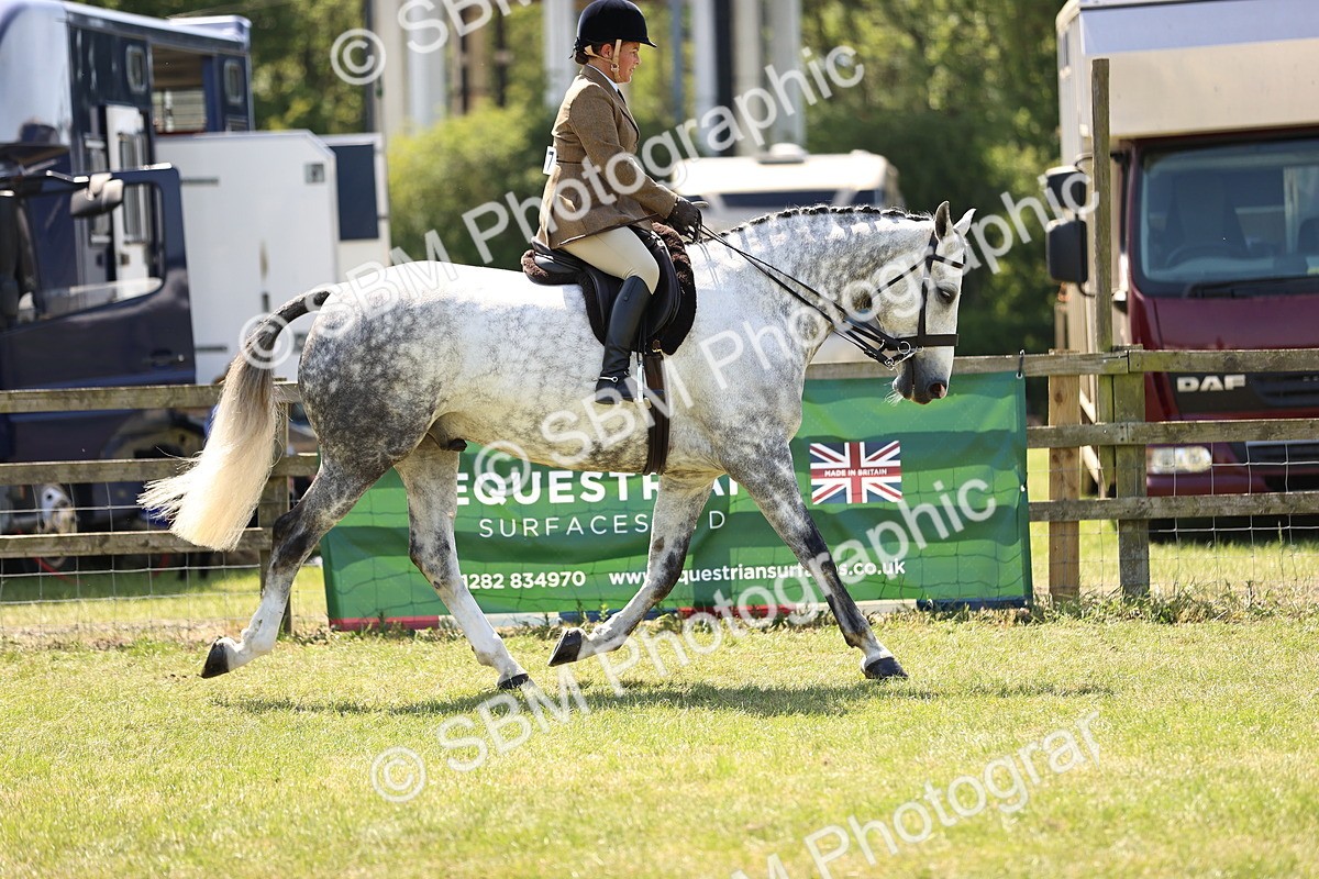 SBM_17695 - Class 81-83 - TSR Ridden Amateur of the Year - Horses