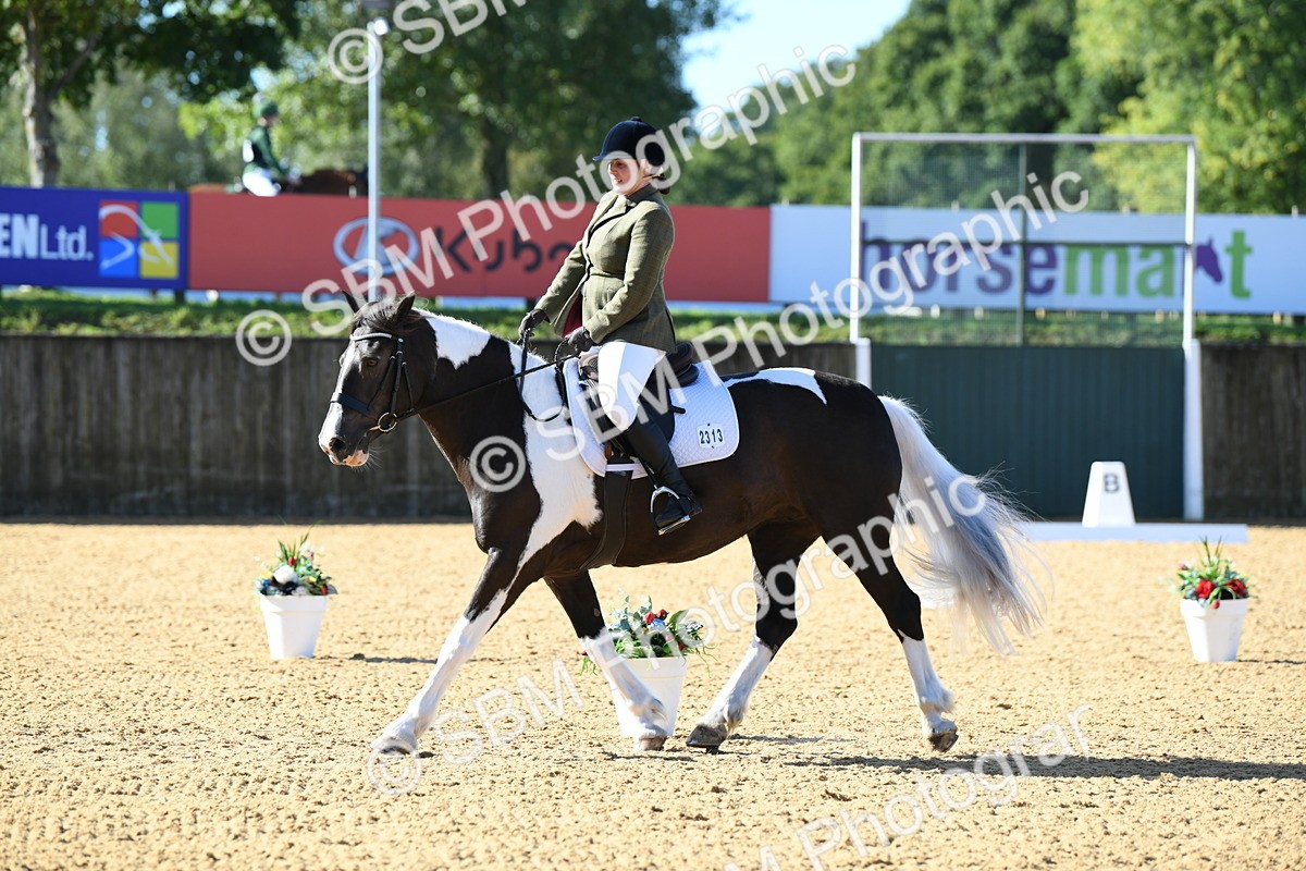 SBM_02729 - D7 Small Tour Championship Prelim 1