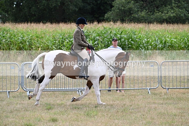 WJ7_5636 - Class 12 Ridden Cob