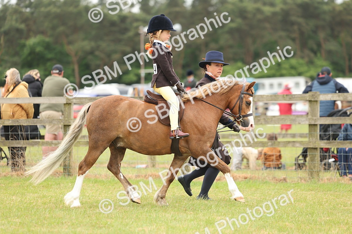 SBM_06724 - Class 74-75 - M&M Lead Rein and First Ridden Pony