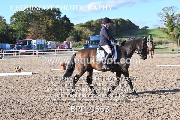 BPP_9563 - LONG ARENA