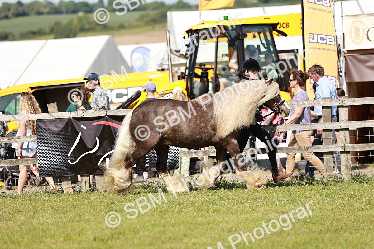 SBM_08766 - Class 63-65 - Traditional Gypsy Cobs In Hand & Ridden