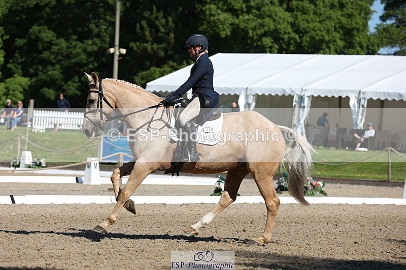 230526-093805-05114 - 356-THE_DUMB_BLONDE-Kat_Raybould-WEDTrotUp+DR