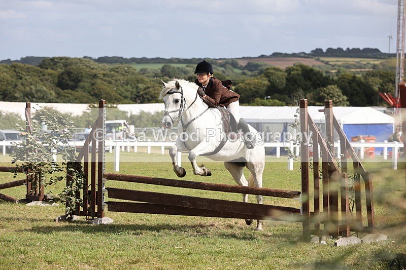 JPP_2580 - Class 20: Working Hunter 70cm