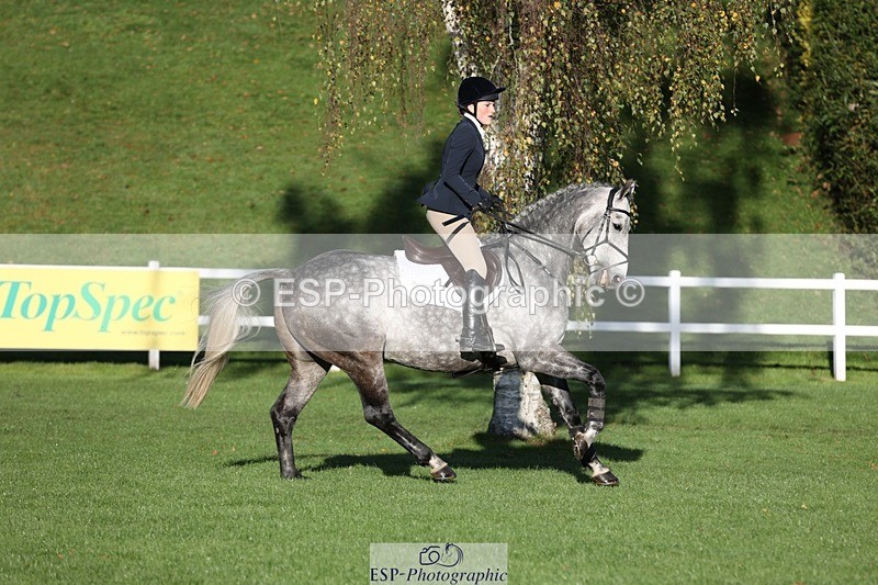 231022-093945-24027 - 662-PAULS.JOE-Eliza.Hallett-TrotUp+SJ