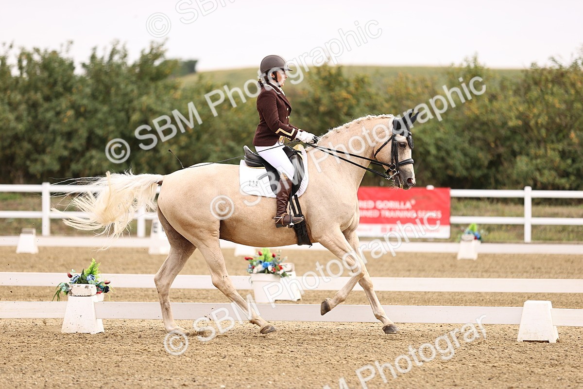 SBM_011514 - Class 1 - Medium 5