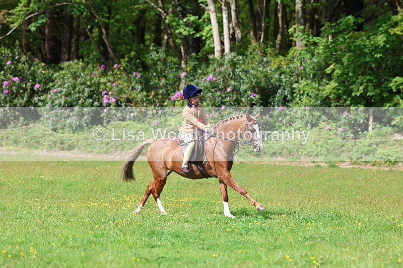 3E7A2697 - Working Hunter Championship