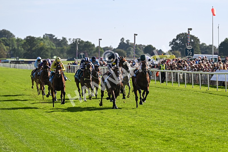 060926-Race 5-Extremely Zain-8372 - Race 5 3.50pm Starman At Tally Ho Stud Garrowby Stakes