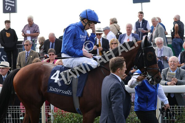 yr18082021r2-4 - Race 2 2.25pm Tattersalls Acomb Stakes