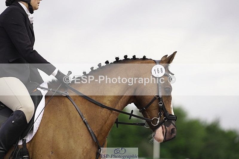 230708A-091022-00060 - Intro C