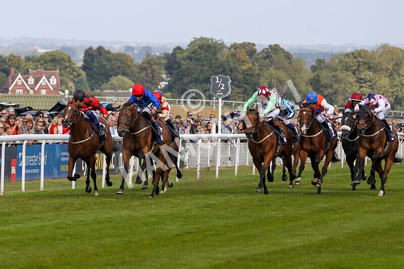 310824-Race 4-Spirit Of Applause-1549 - Race 4