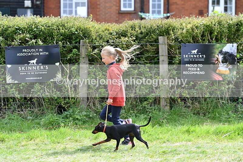 WJ5_0616 - Class 7 Best Terrier