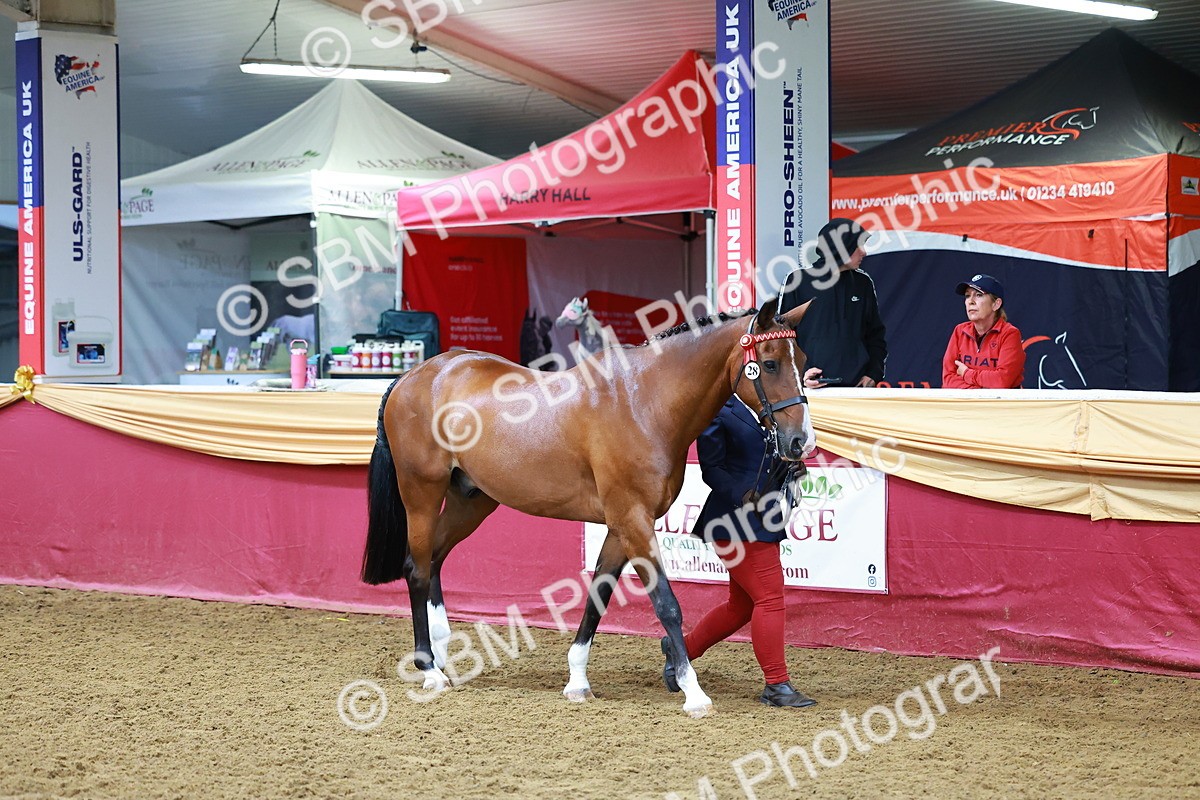 SBM_16107 - Class 901 - Sup Final - IH Diamond