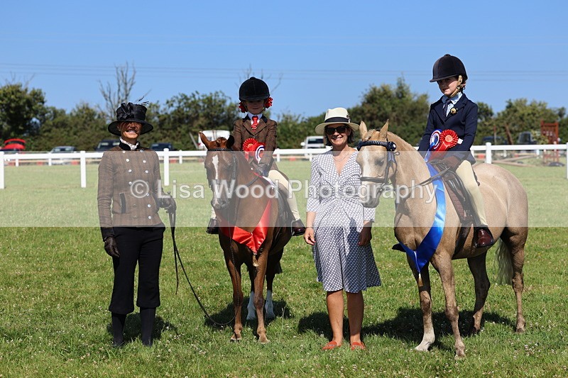 IMG_1862 - Plaited Mini Ridden Championship