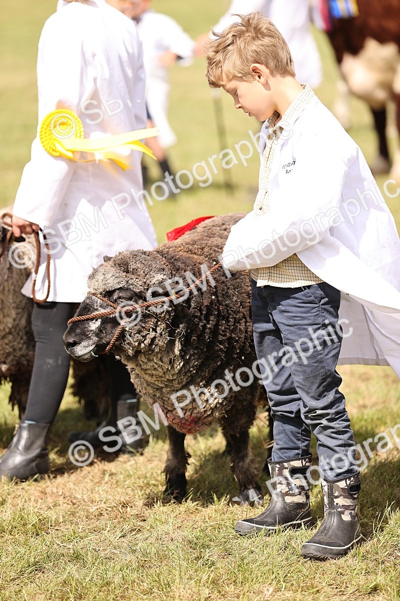 SBM_16924 - Grand Parade