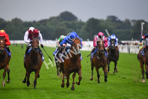 yr21082021r3-9 - Race 3 3.00pm Sky Bet City of York Stakes