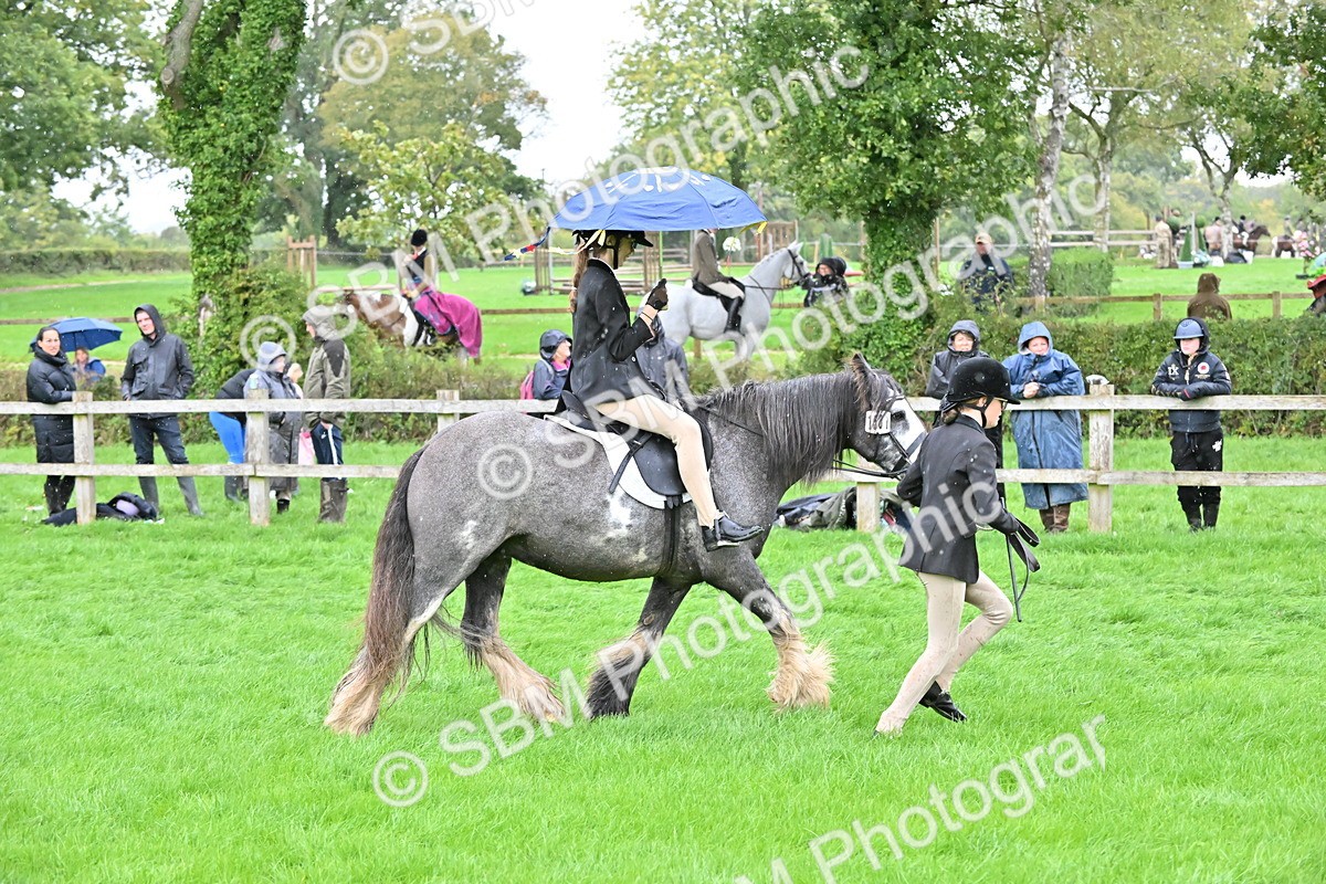 SBM_42988 - S12 - Family Horse & Pony