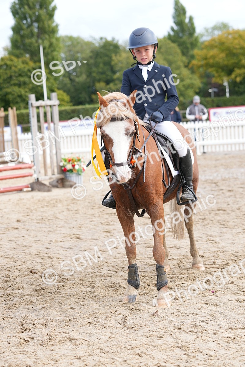 SBM_40090 - J6 - Junior Pony 55cm Championship