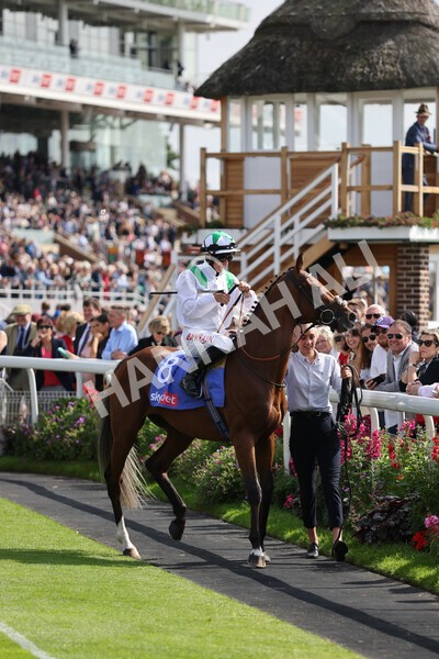 yr18082021r3-28 - Race 3 3.00pm Sky Bet Great Voltigeur Stakes