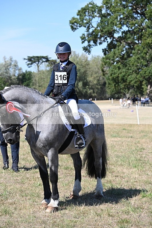 WJ6_8736 - Class 37b Best Loan Pony In-hand
