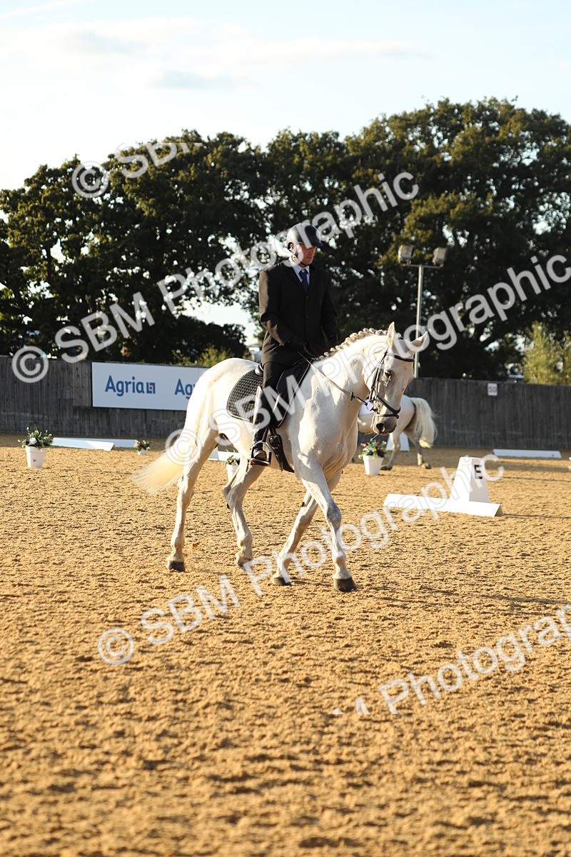 SBM_30464 - D20 - Grand Tour Championship - Elementary 44