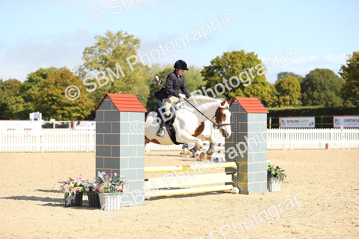 SBM_40196 - J21 - Junior Horse 60cm Championship
