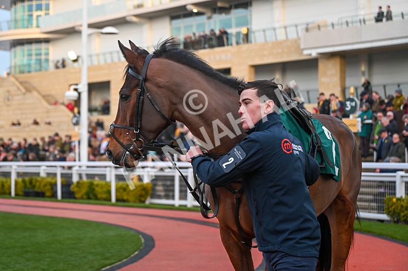 250125-Race 7-Potters Charm-3828