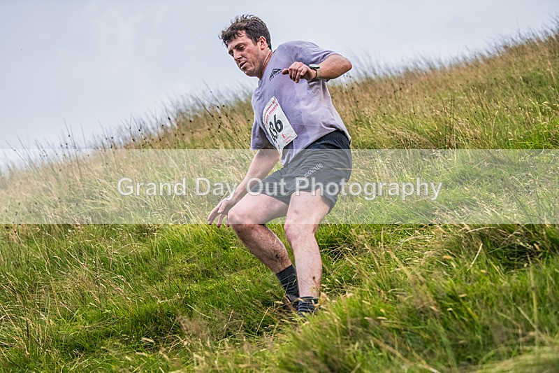 Steel Fell-735 - Steel Fell Race Wednesday 6th August 2025