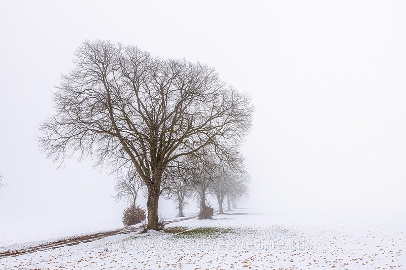 No 0050 - Landscape