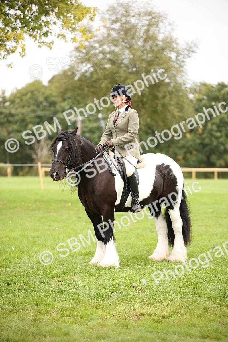 SBM_73510 - S68 - Traditional Cob Ridden