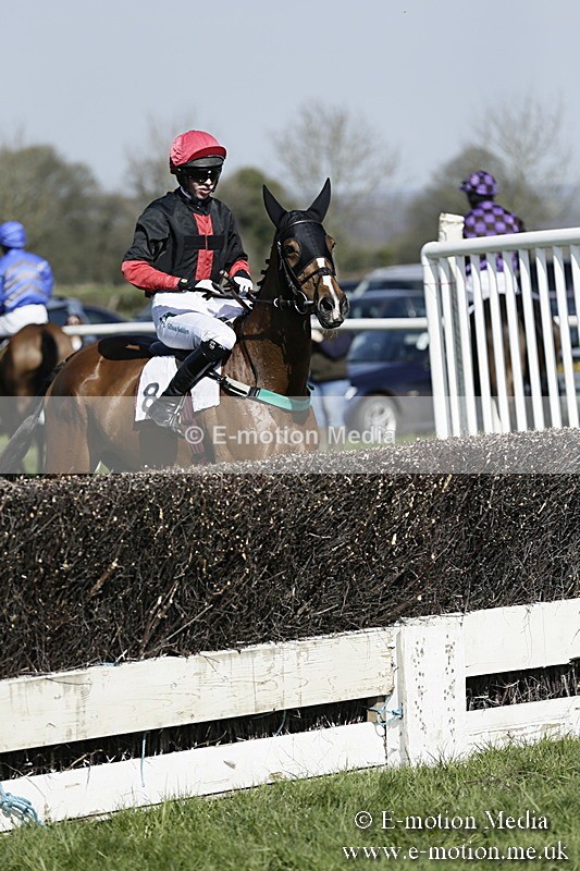 PtP 260317 171 - Mendip Farmers Point-to-Point Ston Easton 26/03/17