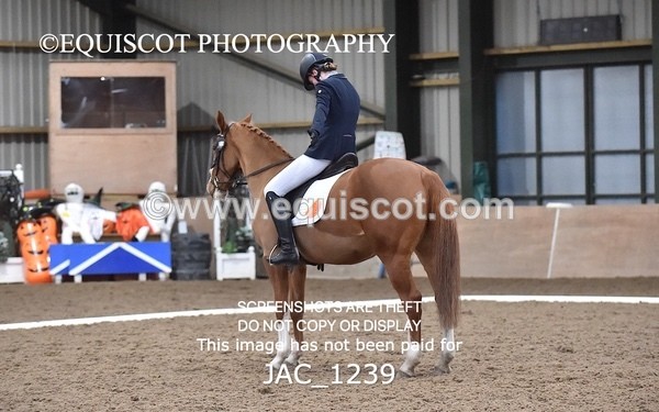 JAC_1239 - CLASS 5 NOVICE 3