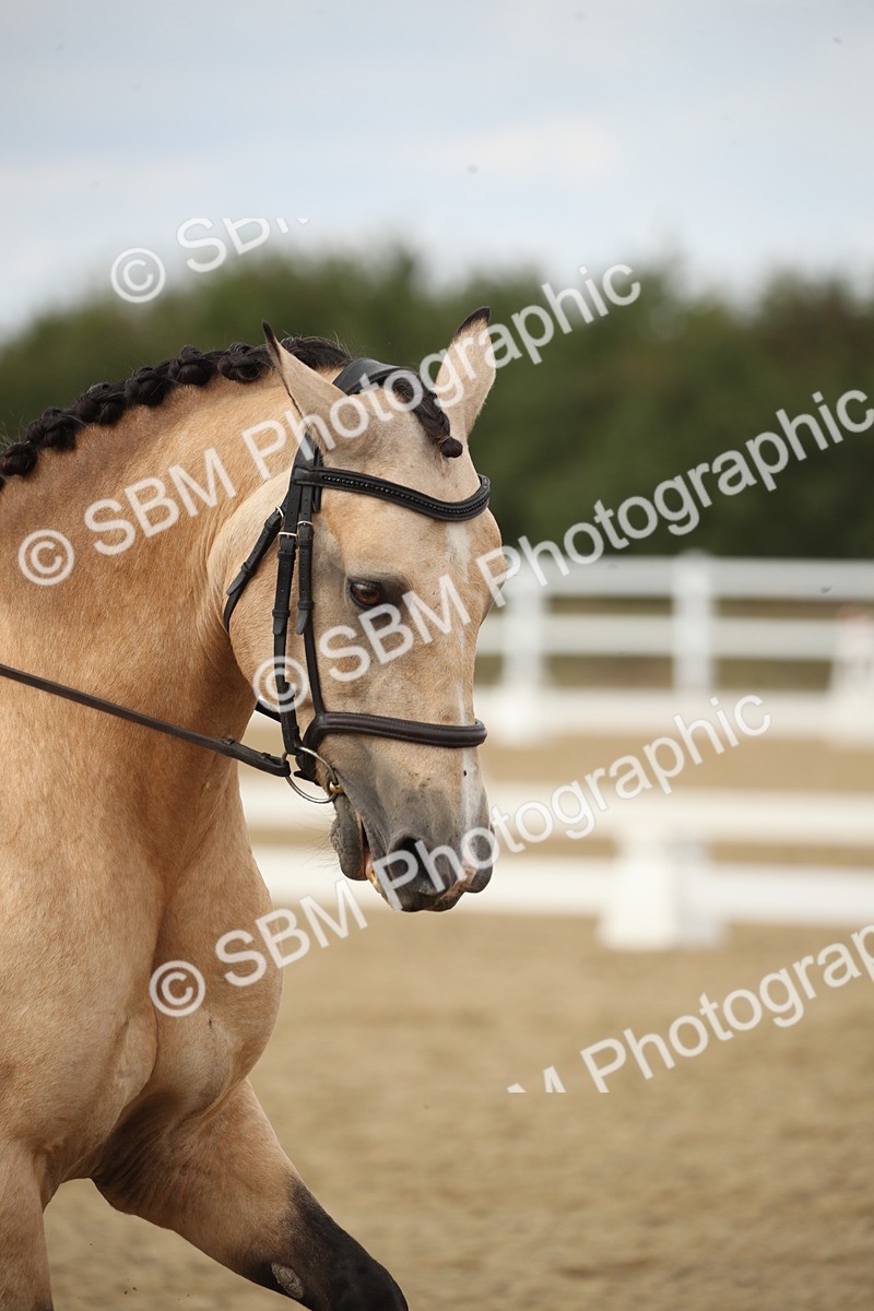 SBM_003111 - Class 6 - Elementary 5 - 14.50-15.46