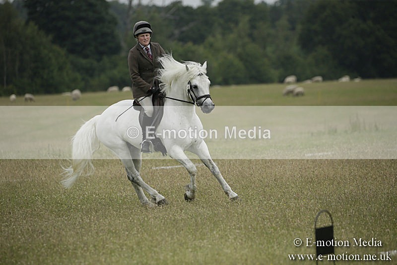 B230619-0356 - Bourne Valley Riding Club Summer Show 23/06/19