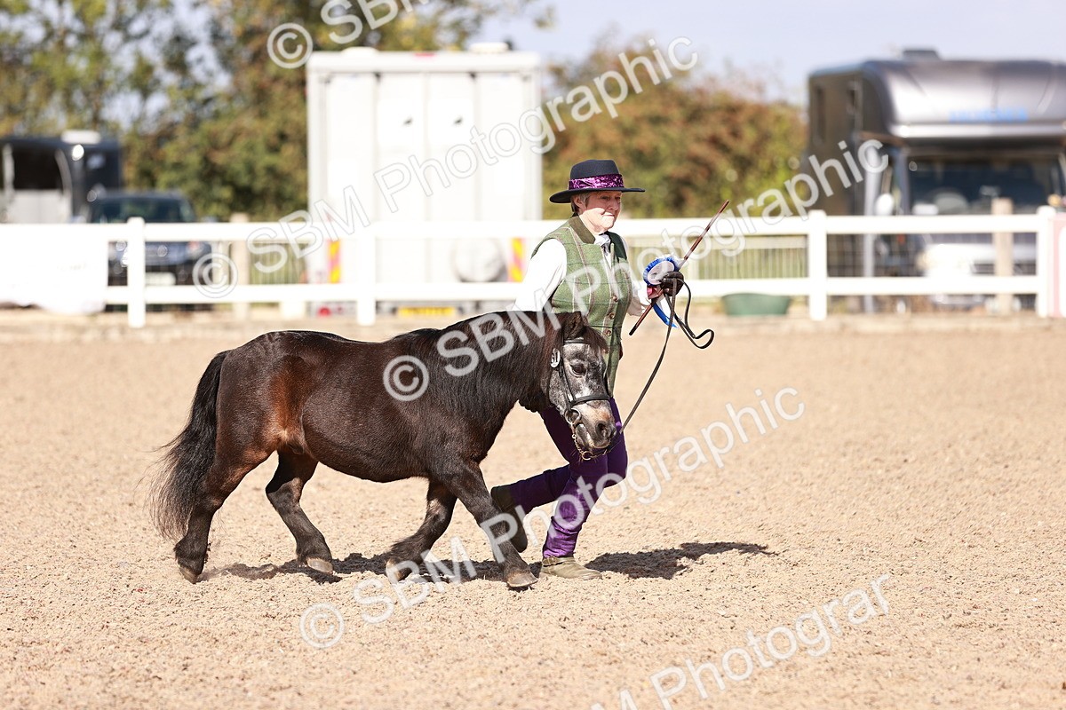SBM_22850 - Class 705 - IH Combination 65+