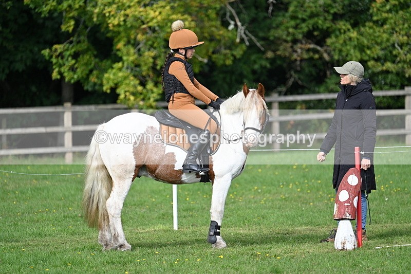 WJ7_3908 - 40cm Time 10:26 to 10:42