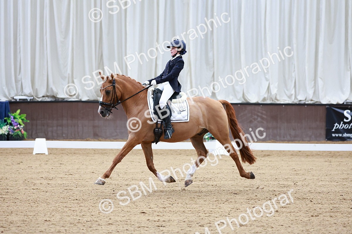 SBM_017075 - Class15 - FEI Pony