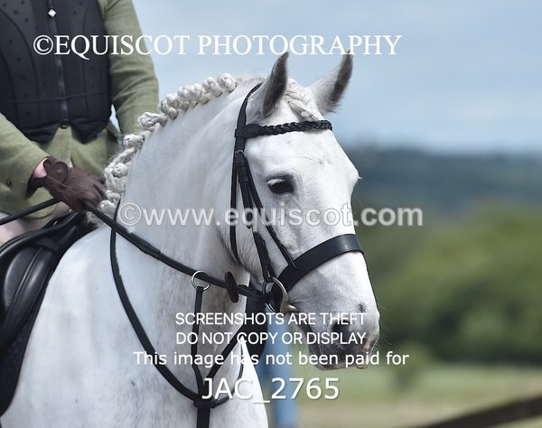 JAC_2765 - CLASS 4 BSPS Scone Palace HT Training Stakes Series