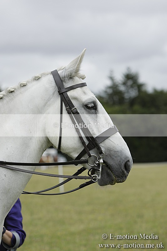BVR160717-2386 - Side Saddle Classes 16/07/17